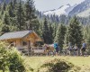 al-alpin_wald_im_pinzgau_850008201_170522_36355_10.JPG