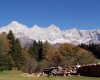au_am_dachstein_ramsau_am_dachstein_240809_14010_9.JPG