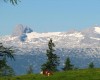 berghof_tauplitzalm_tauplitz_080615_14125_8.JPG