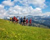 nhotel_bregenzerwald_bezau_10007914_191021_30262_1.JPG