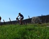 pasler_jois_031017_11570_3.JPG