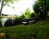pasler_jois_250417_11570_2.JPG