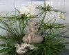 zur_klause_bad_hall_850051545_100322_34480_5.JPG