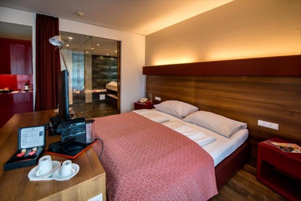 a_hotel_spa_leoben_leoben_375000097_080523_45605_1.JPG