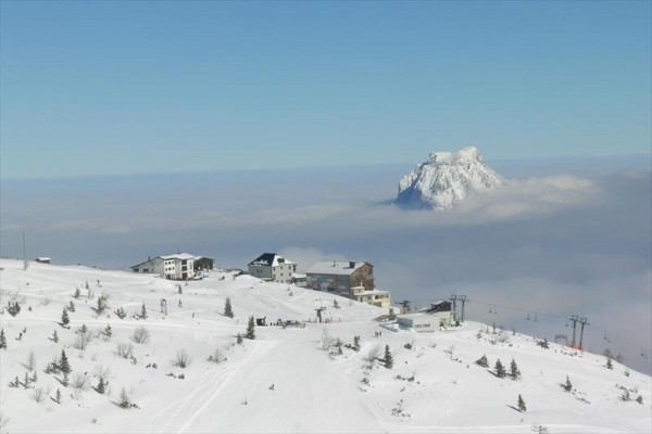tel_traunstein_altmunster_103002159_040124_50802_3.JPG